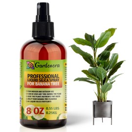 𝐒𝐔𝐏𝐄𝐑𝐈𝐎𝐑 Liquid Silica Boost Fertilizer and Supplement Spray for Banana Tree Plants – Pre-Mixed, Ready-to-Use Liquid Silicon Plant Superfood Mist for Indoor & Outdoor Plants – 8oz