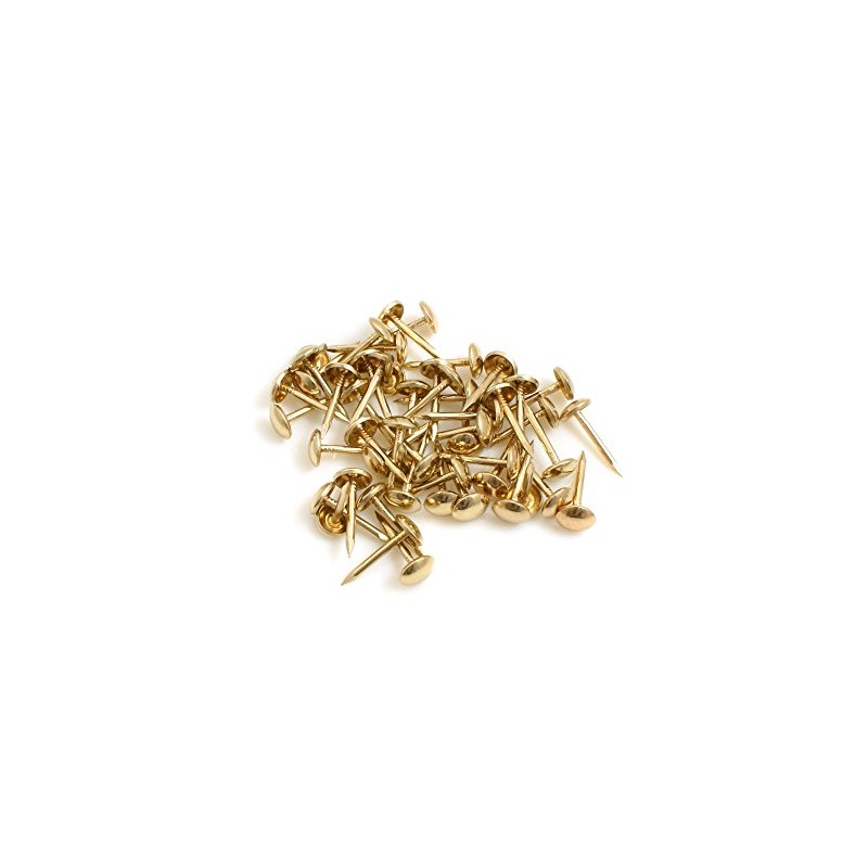 Design61 50 x Carpet Nails, Diameter 3 x Length 50
