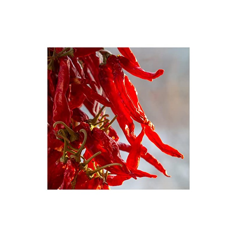 Everwilde Farms - 1/4 Lb Cayenne Long Red Hot Pepper