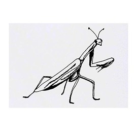 'Praying Mantis' Temporary Tattoo - Water Resistant, Skin-Safe, Non-Toxic Transfer (TO00032723)