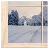 Set of 4 Window Stickers Four Seasons Trees High-Quality Window