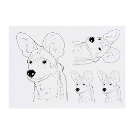 4 x 'African Wild Dog Face' Temporary Tattoos (TO00071790)