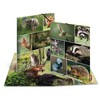 HERMA 19341 Portfolio Folder A4 Animal Worlds Forest Animals, Children's
