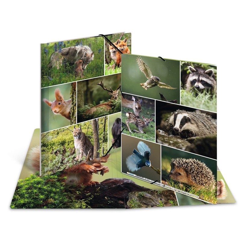 HERMA 19341 Portfolio Folder A4 Animal Worlds Forest Animals, Children's