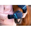 Roeckl Sports Riding Gloves Wynne, Tournament Winter Gloves, Blue 6