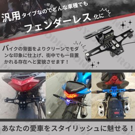 PRODIGY-ONE Motorcycle Fenderless Kit with LED License Plate Light Aluminum