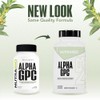 NutraBio Alpha GPC - 60 Caps - 300 mg -