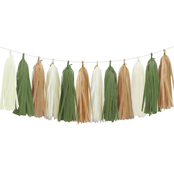 Aonor Sage Green Tassel Garland for Woodland Baby Shower Decorations