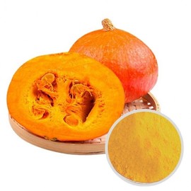 Pumpkin Extract Powder 100g Sample