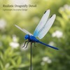 12-Pack Blue Dragonfly Garden Decorations – Realistic Clip-On Outdoor Accents