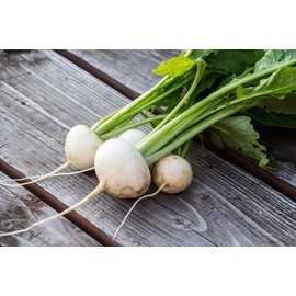 White Lady Turnip Premium Seeds for Planting Packet