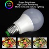 TZHILAN E26 12V Low Voltage LED Light Bulbs 5W A19