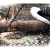 48 Inch High Reach Tree Limb Hand Rope Saw with