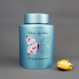 AODIYA Up to 60 lbs Small Cremation Urns for Adult Male Female Ashes, Decorative Memorial Mini Keepsake Urn for Human Child Ashes with Velvet Bag(Butterfly)