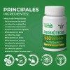 Probióticos 60 Billones 60 Cápsulas De 500 Mg Rinde 120