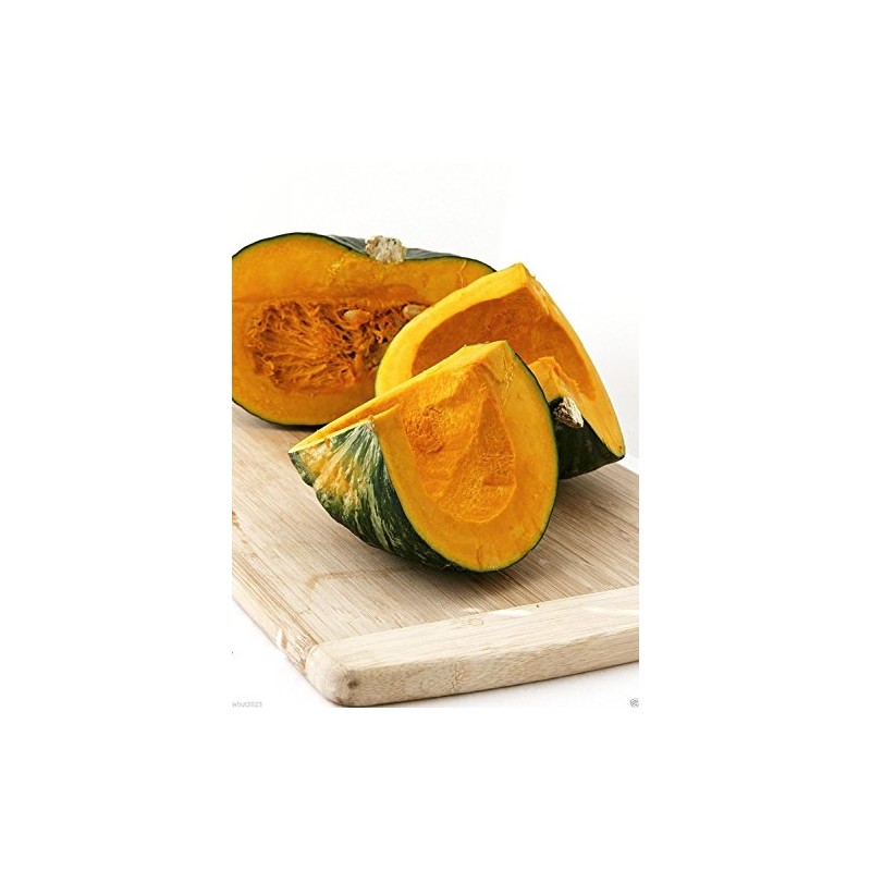 20 JAPANESE GREEN PUMPKIN SEEDS - Kabocha - Open pollinated,