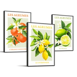 SERIMINO Fruit Botanical Wall Art for Kitchen, Lemon Prints Framed Canvas Wall Decor for Floral Dining Room Farmhouse, Watercolor Paintings Room Decor Aesthetic 3 Piece Set, 16"X24"