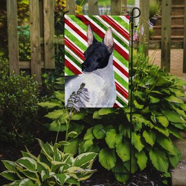 Caroline's Treasures SS4549GF Rat Terrier Candy Cane Holiday Christmas Garden Flag Mailbox Flag Decorative Yard Flag Banner Outside Patio Artwork Yard Flower Beds, Garden Size, Multicolor