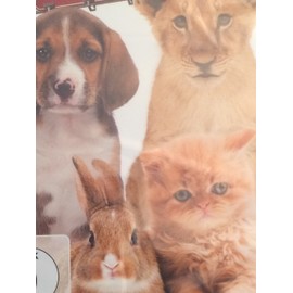 Die schönsten Tierbabies