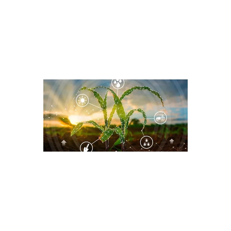 Aminoácidos De Uso Agrícola 1kg Polvo Soluble Rinde Para 3ha