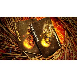 Bicycle Asteroid Playing Cards Limited Edition Poker Collectable Deck by USPCC