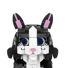 Xbert Tuxedo Cat Building Block Sets, Posable Playful Cat with Fish Bone, Cat Food, Ball Toy, Cat Figurines for Adults, Girls, Boys, Cat Decor for Cat Lovers