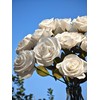 Crepe Paper Rose Flower DIY Making Kit (White)