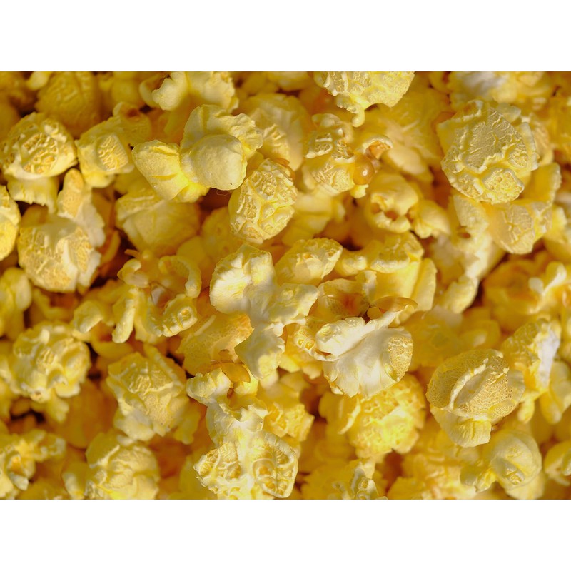 Amish Country Popcorn | 12 Pack Mixed Seasoning Bundle