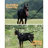 Reflective Service Dog in Training Vest Harness Leash Set for