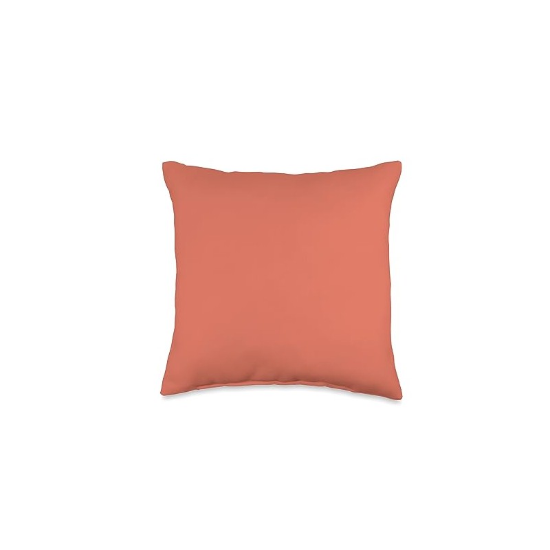 Simple Terracotta Color Throw Pillow
