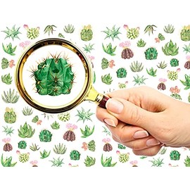 FLONZNAIL Nail Stickers Decal Transfers (5 Sheets) Cactus Succulent Flowers Vintage Watercolor Illustration