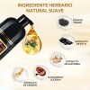Kaisasa Shampoo Con Tinte Cubre Canas Natural Jengibre