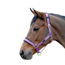 Cottage Craft Horse Headcollar - Padded Head Collar for Horses - Purple - FULL