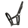 Waldhausen Mini-Shetty Halter - Black, Mini Shetty