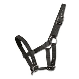 Waldhausen Mini-Shetty Halter - Black, Mini Shetty