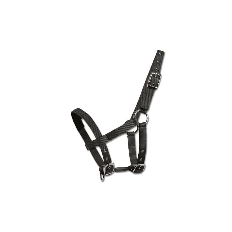 Waldhausen Mini-Shetty Halter - Black, Mini Shetty