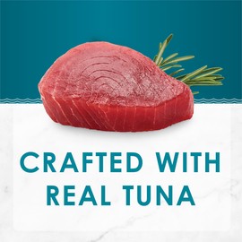 Purina Fancy Feast Savory Centers Pate Adult Wet Cat Food With Tuna and a Gravy Center - (Pack of 24) 3 oz. Cans