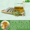 TOG999, Premium 40 Thyme Leaf Tea Bags, 100% Natural &