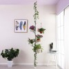 Baoyouni 5-Tier Tension Rod Plant Holder Pole, Flower Display Stand
