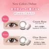 [Rino Ishihara Produce Color-Control] TOPARDS (Topaz) One Day, 10 Pieces,