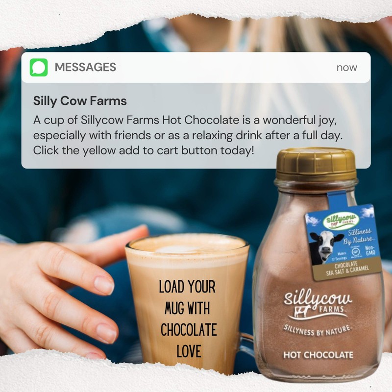 Silly Cow Farm Caramel & Sea Salt Hot Chocolate 16.9oz