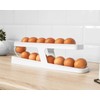 Gadget Master Egg Holder for Fridge Organiser Automatic Rolling Egg