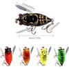 Cicada Fishing Lure, Lifelike 3D Holographic Eyes Freshwater Bait,5Pcs Artificial