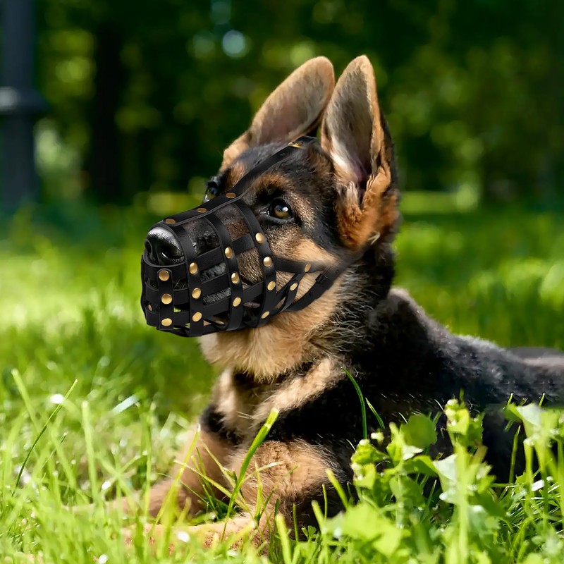 OOPSDOGGY Doberman Dog Muzzle for Large Dogs - Leather Breathable