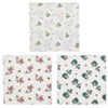 Skater KFKC3-A Kaya Fabric Dish Towels, 3 Pieces, Moomin, 11.8