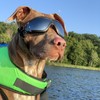 NAMSAN Dog Goggles Medium to Large Breed, Anti-UV Sunglasses for