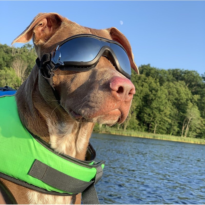NAMSAN Dog Goggles Medium to Large Breed, Anti-UV Sunglasses for