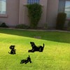 3PCS/Set Animal Silhouette Stake Dog Garden Decoration Dog Silhouette for