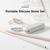 Teranuvo Silicone Straw Set - 2 Straws, Cleaning tools, Carrying