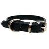 Vibrant Leather Dog Collar for Puppy, Cat, Kitten, Dogs -